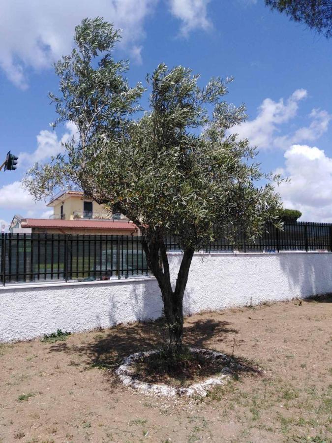 רומא Villa Ivana מראה חיצוני תמונה